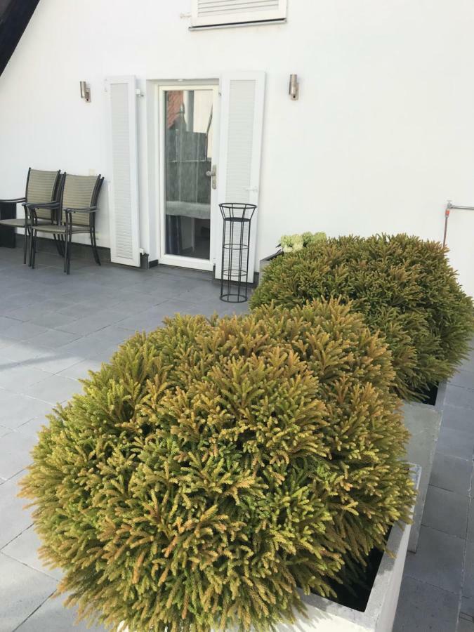 Casa Christina * Orschweier